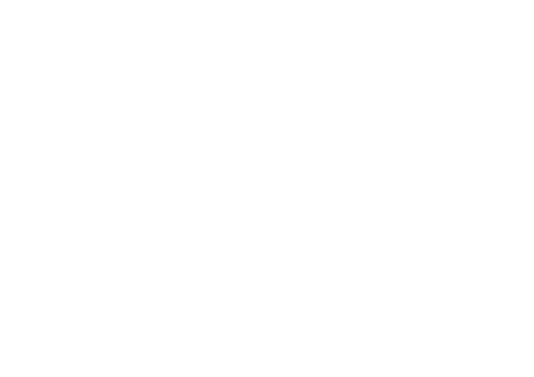 NukkAI